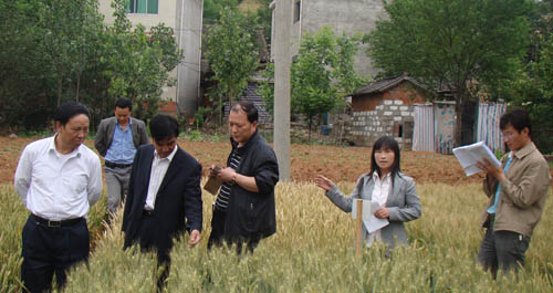 市農(nóng)業(yè)局組織農(nóng)業(yè)專家下鄉(xiāng)考察