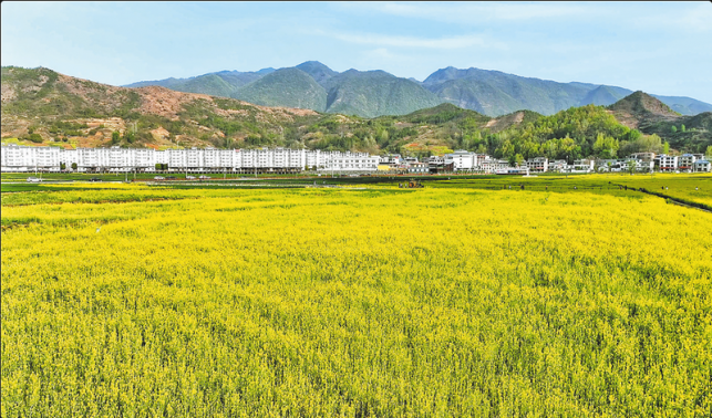 以好氣候撬動一座城市發展