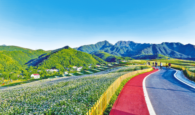 美域藍田 近在眼前