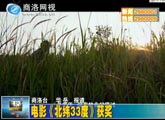 商洛全接觸（2013-10-31）