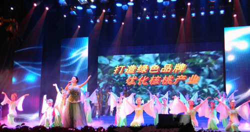 “相約中國核桃之都”文藝晚會