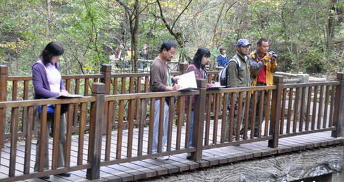 百名畫家商洛采風 牛背梁美景畫中留