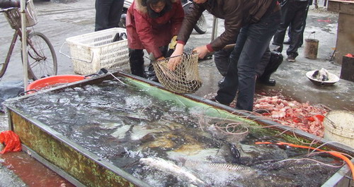 新春年貨“肉蛋禽”引領(lǐng)市場行情