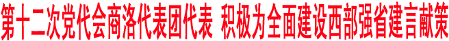商洛代表團(tuán)代表積極為全面建設(shè)西部強(qiáng)省建言獻(xiàn)策