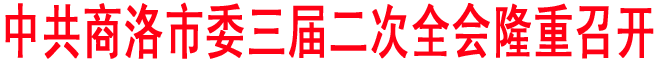 中共商洛市委三屆二次全會隆重召開