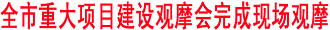 商洛市重大項目建設觀摩會完成現場觀摩