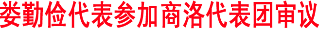 婁勤儉代表參加商洛代表團(tuán)審議