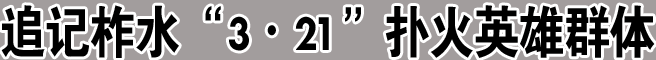 追記柞水“3·21”撲火英雄群體