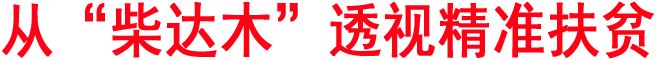從“柴達(dá)木”透視精準(zhǔn)扶貧