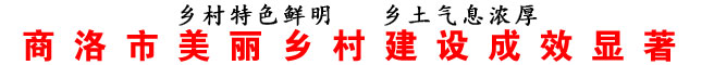 商洛市美麗鄉(xiāng)村建設(shè)成效顯著