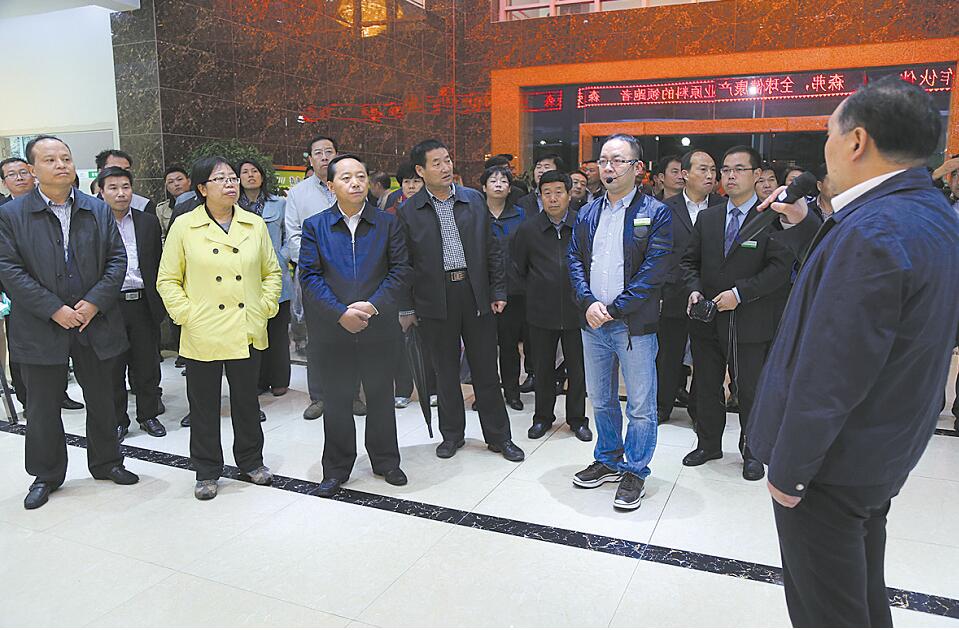 全市重大項目建設現場觀摩會在洛南商州觀摩