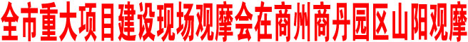 全市重大項目建設現場觀摩會在商州商丹園區山陽觀摩