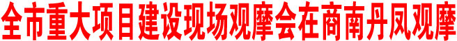 全市重大項目建設現場觀摩會在商南丹鳳觀摩