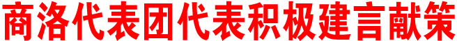 商洛代表團(tuán)代表積極建言獻(xiàn)策