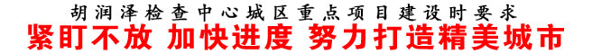 緊盯不放 加快進度 努力打造精美城市
