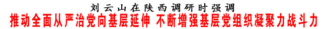 推動全面從嚴治黨向基層延伸 不斷增強基層黨組織凝聚力戰斗力