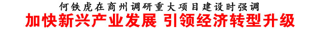 加快新興產(chǎn)業(yè)發(fā)展 引領(lǐng)經(jīng)濟(jì)轉(zhuǎn)型升級(jí)