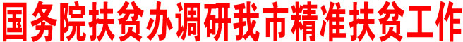 國務(wù)院扶貧辦調(diào)研商洛市精準(zhǔn)扶貧工作