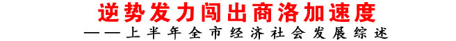 逆勢發力闖出商洛加速度