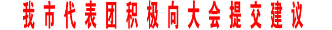 我市代表團(tuán)積極向大會(huì)提交建議