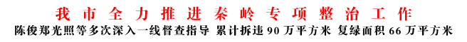商洛市全力推進秦嶺專項整治工作