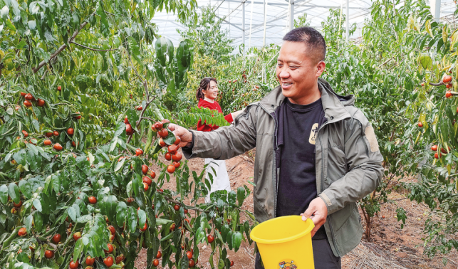 甜了日子 富了鄉鄰