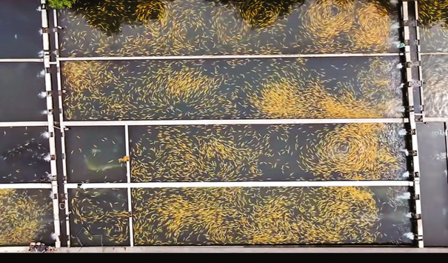 活水潤產業 農旅促增收