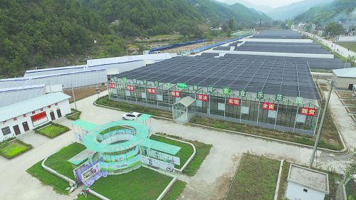 現(xiàn)代農(nóng)業(yè)，正從園區(qū)走來