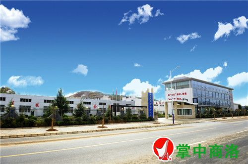 農(nóng)業(yè)龍頭企業(yè)——陜西天玉公司