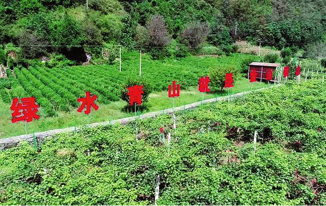 鞏固脫貧成果 促進持續增收