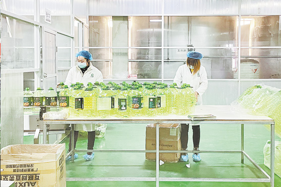 發展核桃深加工 拓寬群眾致富路