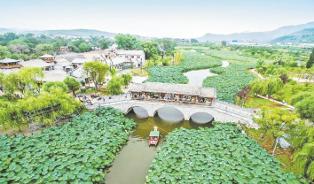 踔厲奮發 篤行不怠 譜寫丹鳳高質量發展新篇章