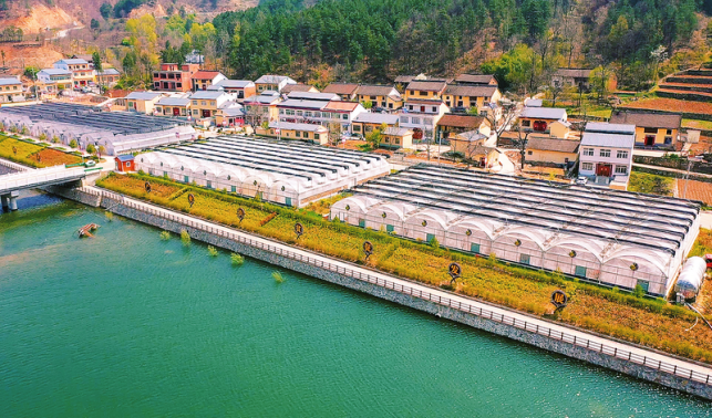 繪就村美民富新畫卷