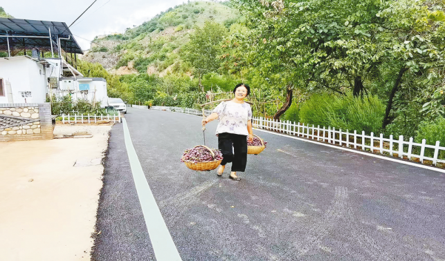 一條柏油路，串起果農新生活