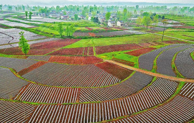 勤勞繪就美麗畫(huà)卷