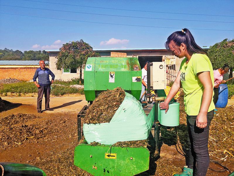 養(yǎng)?！翱ú弊印彪y題迎刃而解