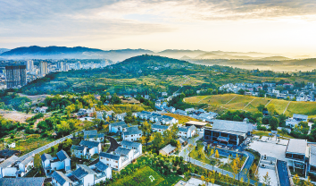 立足三個定位 實施四大戰略 著力建設富裕活力文明美麗幸福洛南