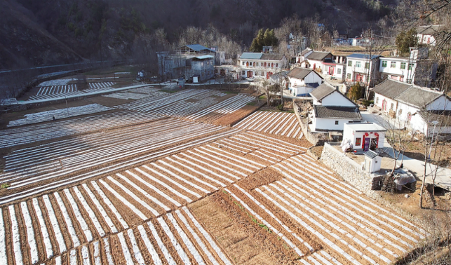 沃野繪新景 鄉村展新顏