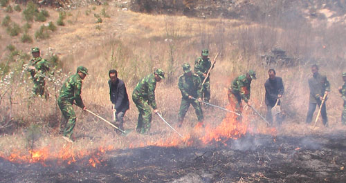 洛南縣組織森林防火撲救應急演練