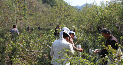 利用國家財政部獨(dú)家“大學(xué)技術(shù)推廣項目”