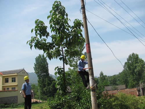 洛南縣城關鎮加強農電安全排查備“三夏”