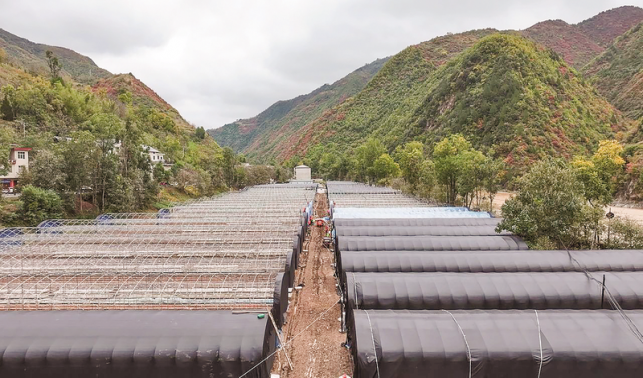 美好家園重煥生機